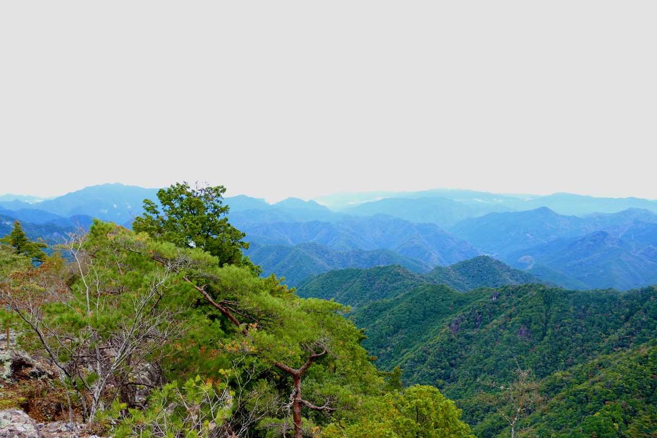 私とつながり直す。
人生がひらく。